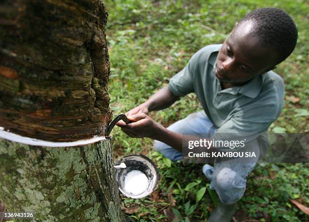 Worker taps a rubber tree to collect rubber sap 07 November 2007 in a plantation of heveas in Allokoi village located 5 kilometres from Abidjan....