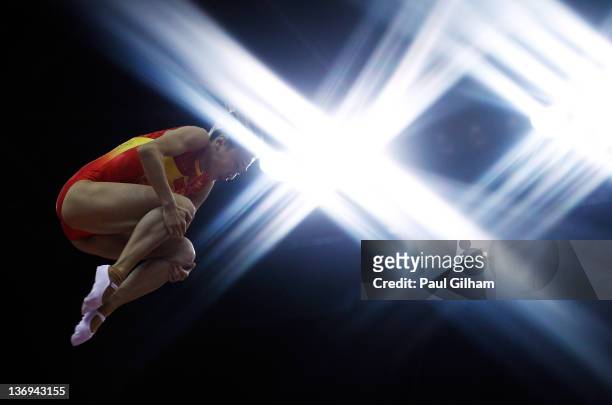 He Wenna of China in action during the Gymnastics Trampoline Olympic Qualification round at North Greenwich Arena on January 13, 2012 in London,...