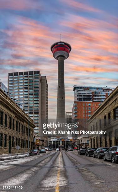 calgary downtown and tower, alberta, canada. - calgary summer stock pictures, royalty-free photos & images