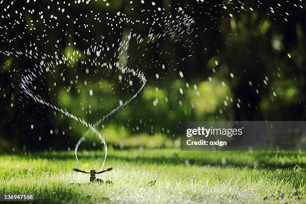 garden sprinkler - grass and lawns stock pictures, royalty-free photos & images