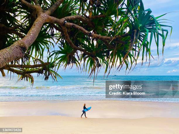 surfer walks to turquoise waves - long weekend australia stock pictures, royalty-free photos & images