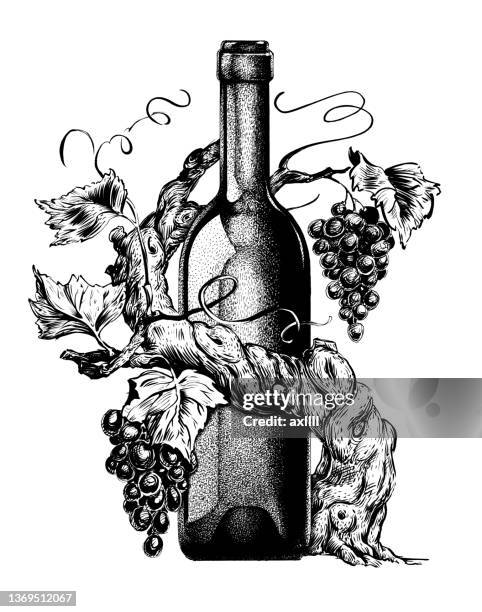 stockillustraties, clipart, cartoons en iconen met wine bottle vine grapes - grapes on vine