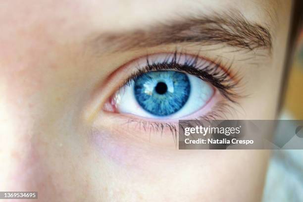 close-up of a child blue eye. - blue eyes fotografías e imágenes de stock