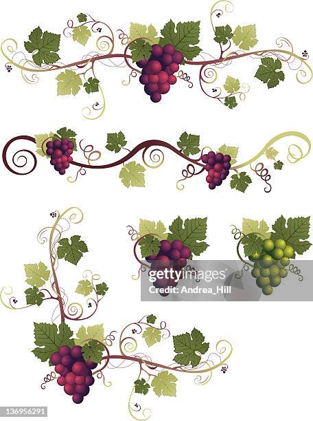 grape design elements - wine maker stock illustrations