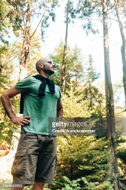 hapiness bald man smiling the forest - forest bathing stock pictures, royalty-free photos & images