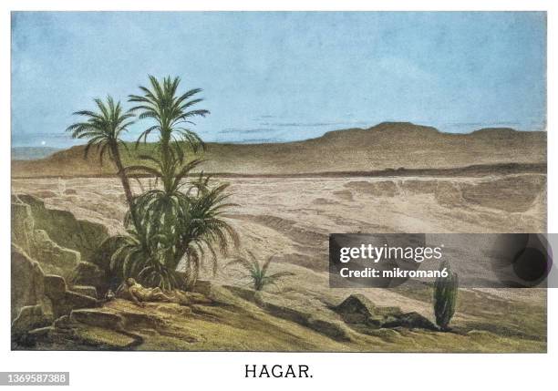 old engraved illustration of the hagar and ishmael - palmiers stockfoto's en -beelden