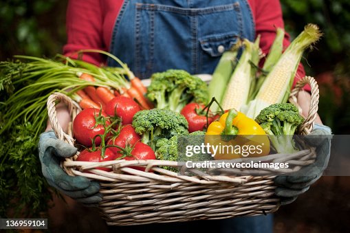 Closeup of Vegetables in Basket Closeup of Vegetables in Basket