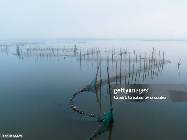 eel fishing nets placed in shallow waters in la albufera - horizontaal stock-fotos und bilder