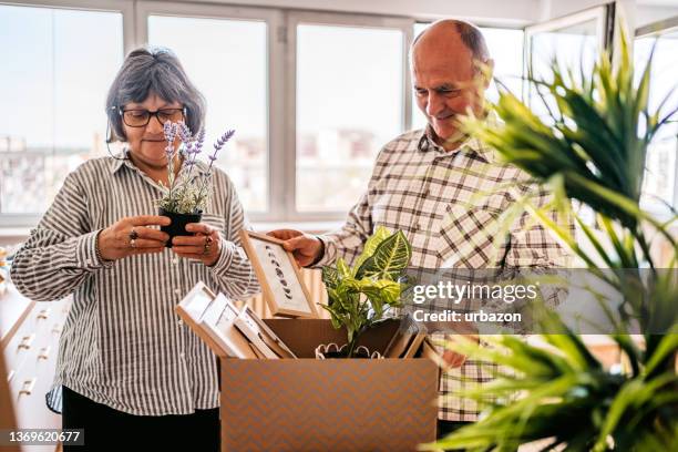 unpacking plants in a new apartment - senior moving house stock pictures, royalty-free photos & images