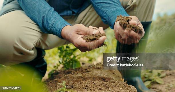 農場で働いている間、彼の手に土壌を保持している認識できない男のクローズアップショット - dirt ストックフォトと画像