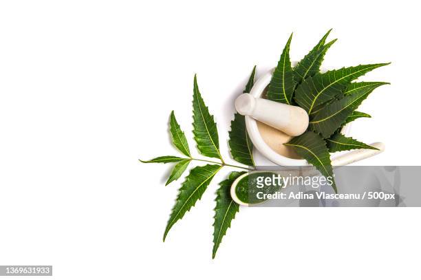 medicinal neem leaves in mortar and pestle with neem paste - ニーム ストックフォトと画像