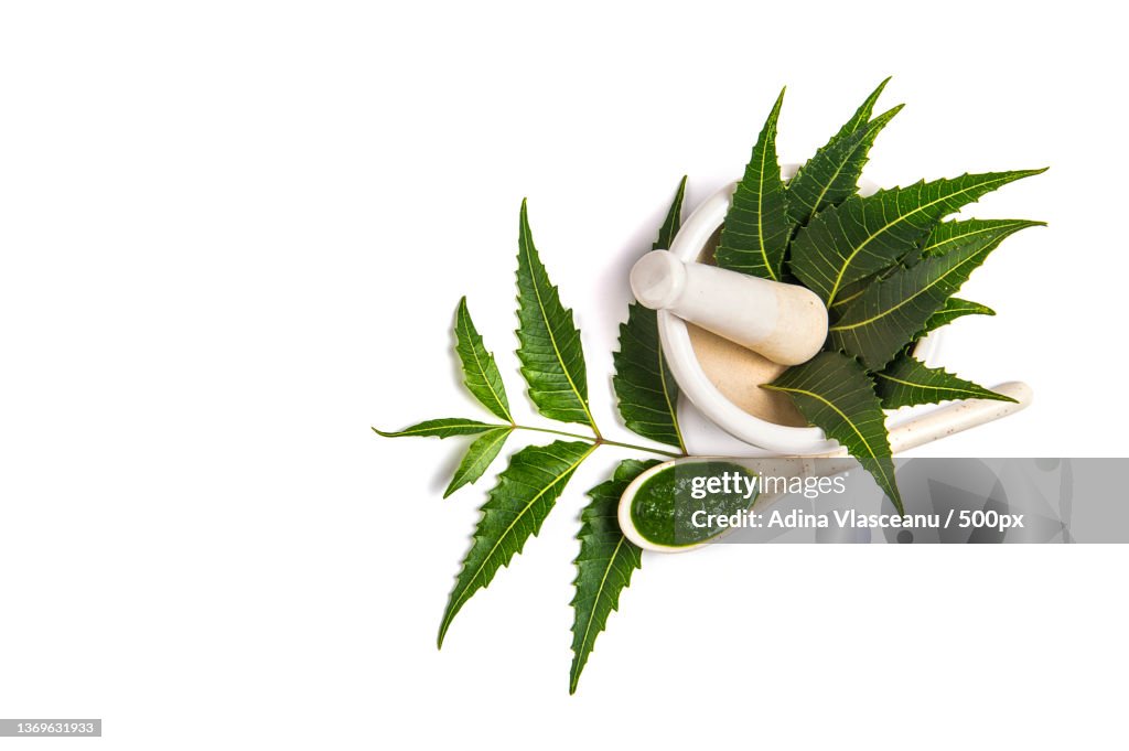 Medicinal Neem leaves in mortar and pestle with neem paste
