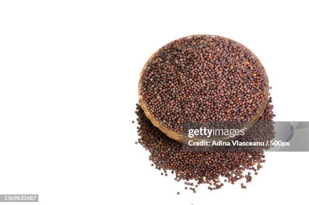 indian brown mustard seeds isolated on white background - canola ストックフォトと画像