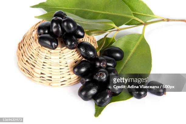 jambolan plum or java plum syzygium cumini - jamun stock-fotos und bilder
