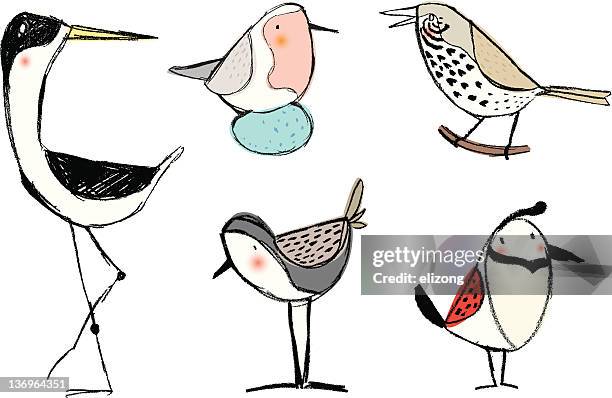 pencil sketch birds - wader bird stock illustrations