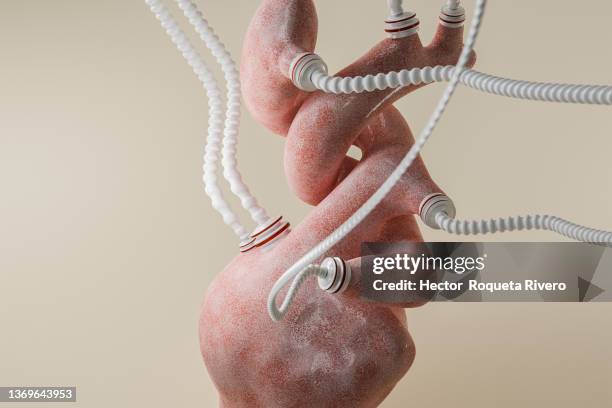 3d render of human heart anatomy with white cable, image generated with computer - biomedical illustration stock pictures, royalty-free photos & images