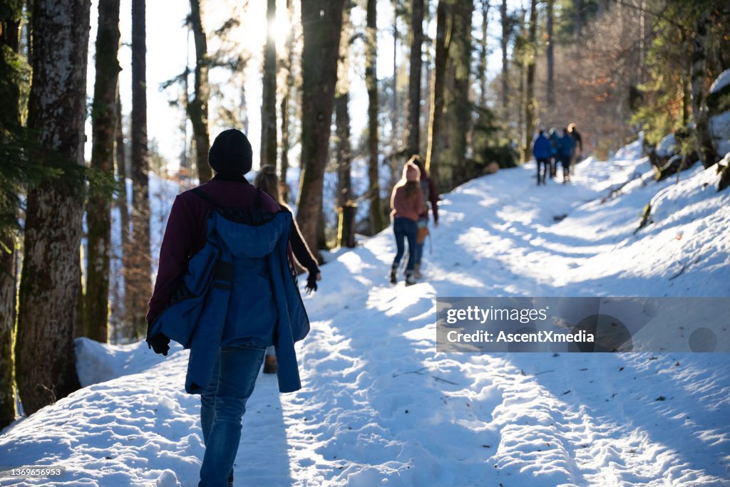 Group of friends walk home through the forest in winter