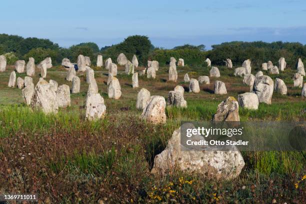 megalithic menhir alignements of carnac - brittany france countryside stock pictures, royalty-free photos & images