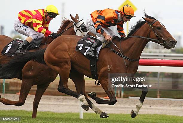 Jockey Peter Mertens rides Over Quota to win race 5 the Comedy King Handicap during Chester Manifold Stakes Day at Flemington Racecourse on January...