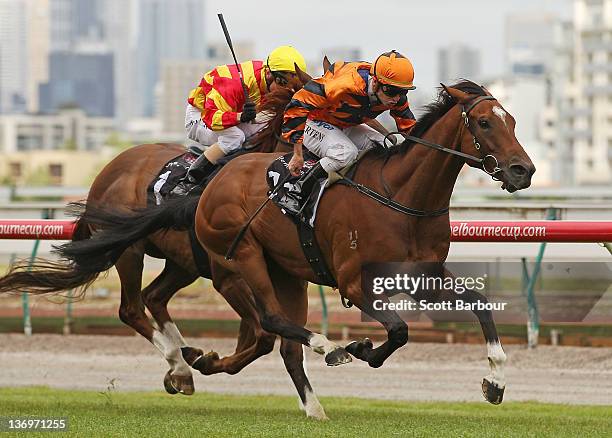 Jockey Peter Mertens rides Over Quota to win race 5 the Comedy King Handicap during Chester Manifold Stakes Day at Flemington Racecourse on January...