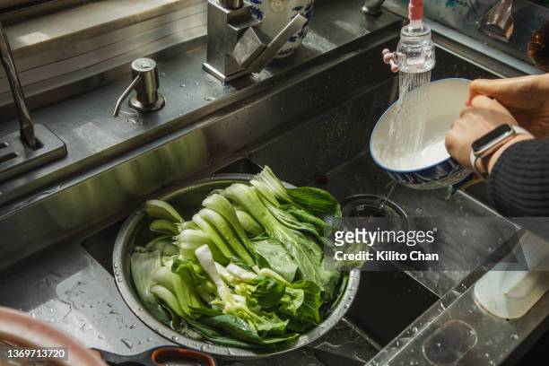 washing dishes at kitchen sink - close up of bok choy bildbanksfoton och bilder