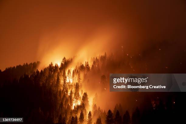 california forest fire - wildfires stock pictures, royalty-free photos & images