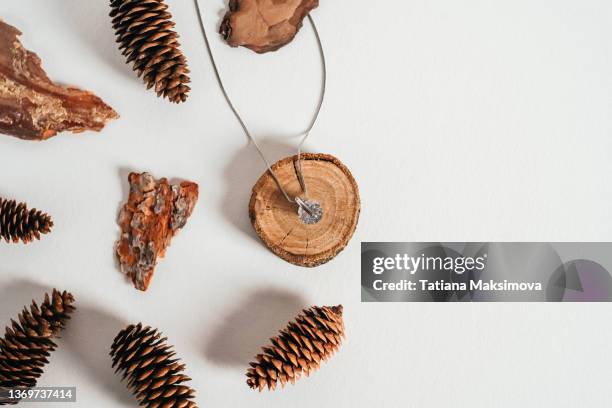 pendant made of transparent shiny stone on a chain. natural decoration made of cones and a cut of wood around. - hangers stockfoto's en -beelden