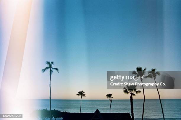 film photo with light leak of palm trees on the ocean - naples florida beach stockfoto's en -beelden