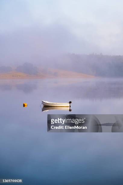 small boat resting in the calm water - tystnad bildbanksfoton och bilder