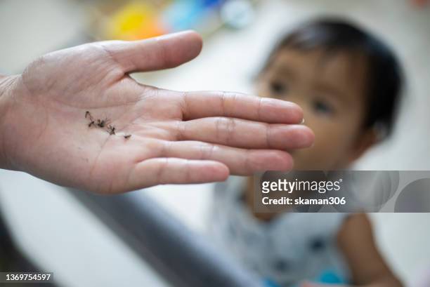 close up  dead mosquitos on the mother hand  with baby girl playing in playpen at home domestic life - dengue fotografías e imágenes de stock