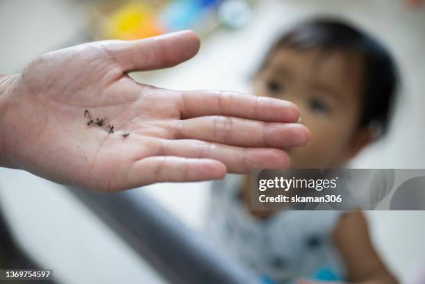 close up  dead mosquitos on the mother hand  with baby girl playing in playpen at home domestic life - dead girl imagens e fotografias de stock