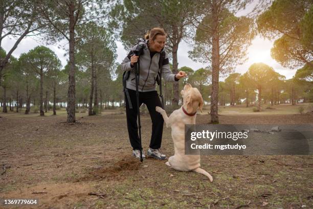 joyeuses femmes souriantes routard jouant avec un chien golden retriever à l’extérieur dans la forêt. - croquette pour chien photos et images de collection