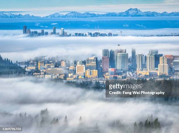 morning fog @ bellevue washington, usa - bellevue skyline stock-fotos und bilder
