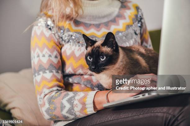 beautiful girl and her siamese cat - cat laptop stockfoto's en -beelden