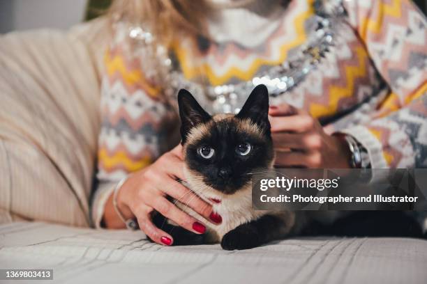 young woman with her siamese cat - siamese cat stock pictures, royalty-free photos & images