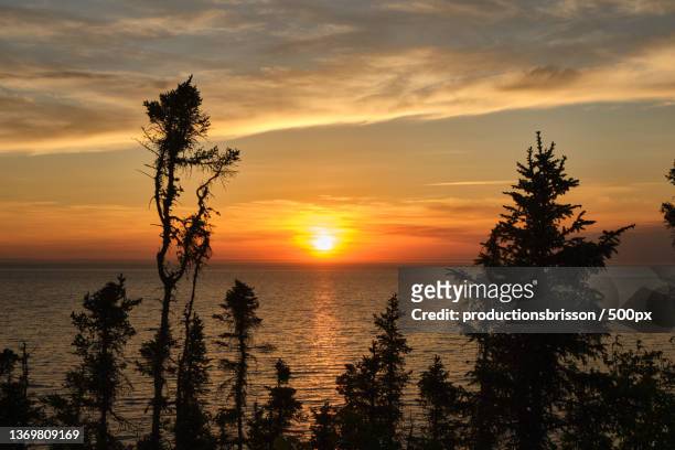 sunset saint lawrence- river,silhouette of trees by sea against sky during sunset,rimouski,canada - quebec stock pictures, royalty-free photos & images
