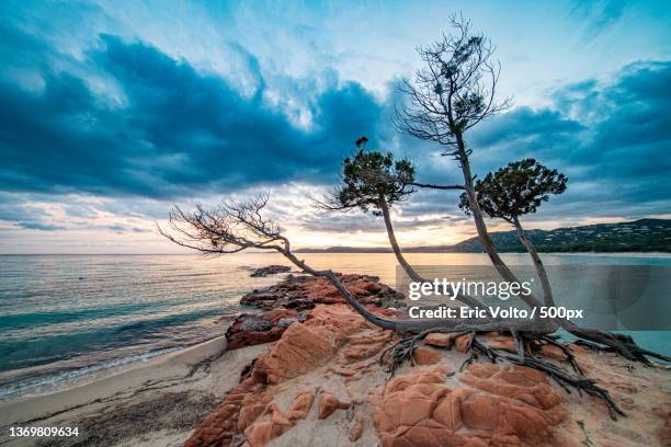 bonzas naturels,scenic view of sea against sky,plage de palombaggia,france - corsica stockfoto's en -beelden