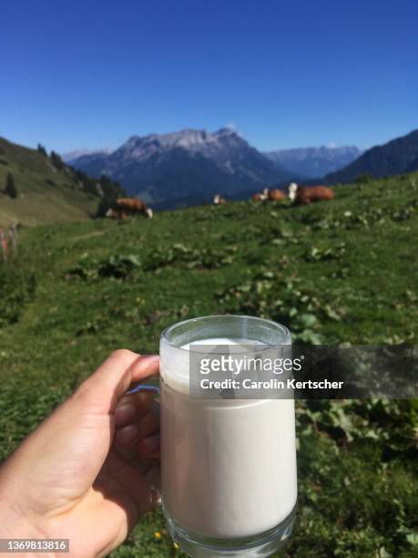 glass of fresh milk in front of alpine meadow with cows and mountain backdrop - milk plant stockfoto's en -beelden