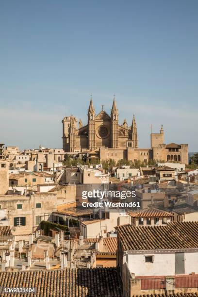 spain, balearic islands,palmademallorca, old town houses with palma cathedral in background - palma maiorca stockfoto's en -beelden