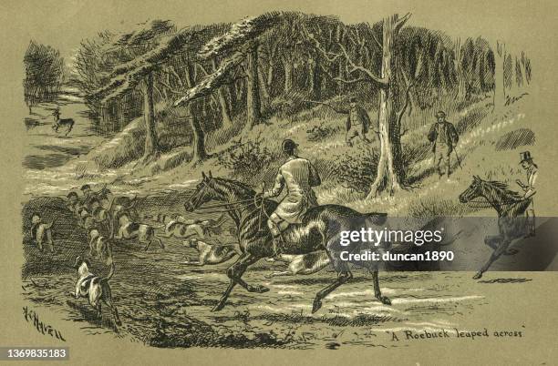 pack of hunting hounds and hunter picking up the trail of a roebuck, victorian, 1890s, 19th century - animals hunting stock illustrations