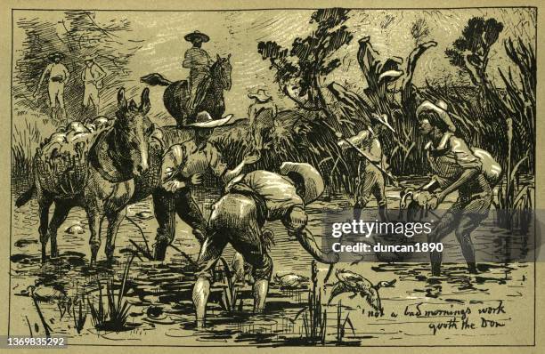 duck shooting in the valley of mexico, victorian hunters, 19th century - animal sport stock illustrations