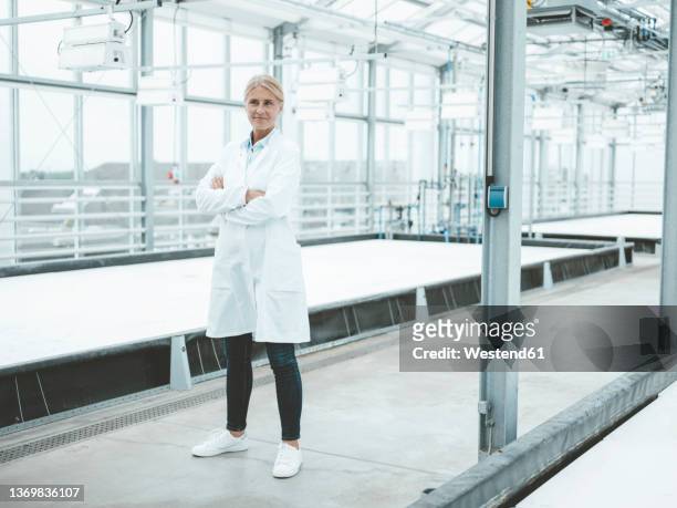 confident scientist with arms crossed in laboratory - scientist full length stock pictures, royalty-free photos & images