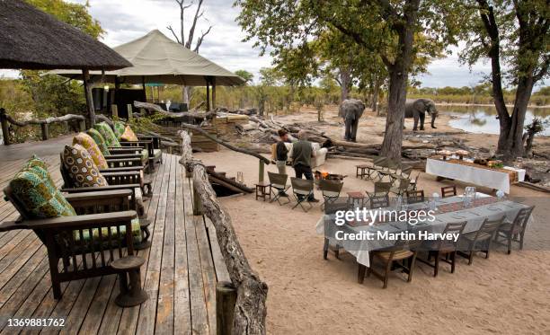 tourists sitting at sundown watching an elephant drinking at the waterhole in front of a safari lodge - safari lodge stock pictures, royalty-free photos & images
