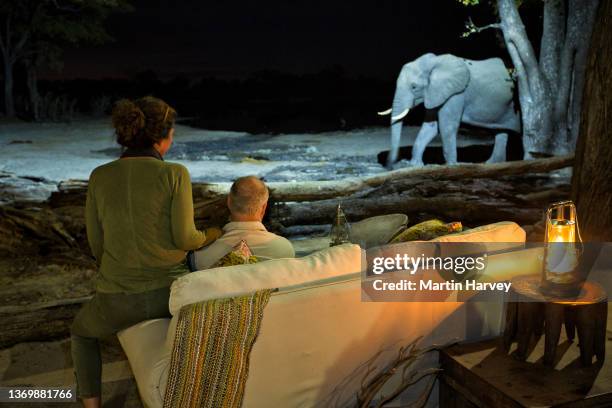tourists sitting at night watching an elephant drinking at the waterhole in front of a safari lodge - safari lodge stock pictures, royalty-free photos & images