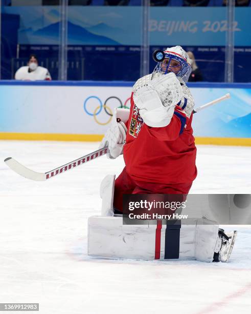 Simon Hrubec, goaltender of Team Czech Republic makes a save in the second period during the Men's Ice Hockey Preliminary Round Group B match on Day...