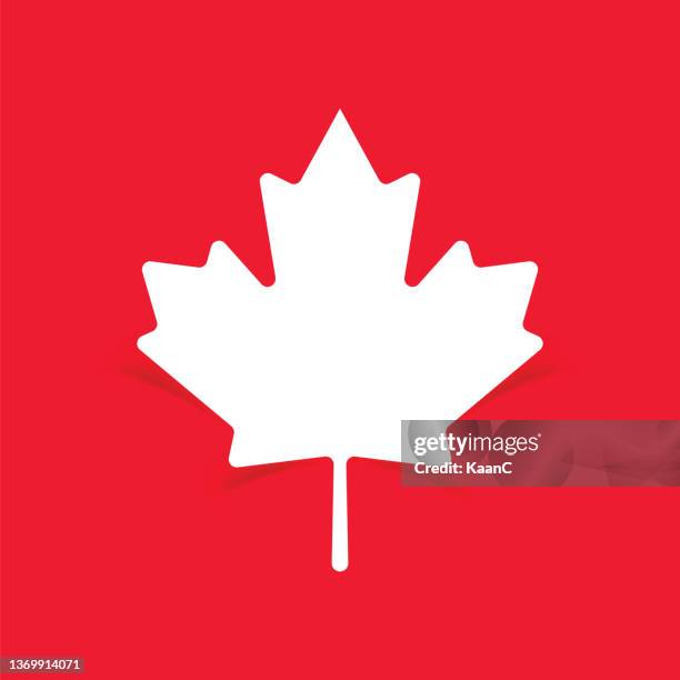 ilustraciones, imágenes clip art, dibujos animados e iconos de stock de icono de hoja de arce. símbolo canadiense. bandera de canadá. canadá. ilustración vectorial. ilustración de stock - arce rojo