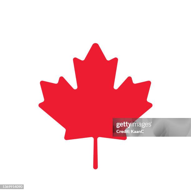 ahornblatt-symbol. kanadisches symbol. flagge kanadas. kanada. vektorillustration. stock-illustration - maple leaf stock-grafiken, -clipart, -cartoons und -symbole