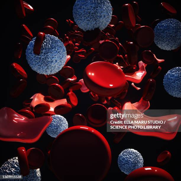 thalassemia, illustration - beta cell stock illustrations