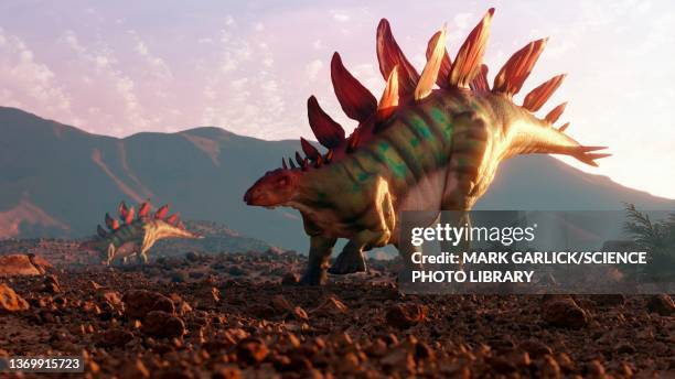 2点のステゴサウルスイラスト素材 Getty Images 2点のステゴサウルスイラスト素材 Getty Images