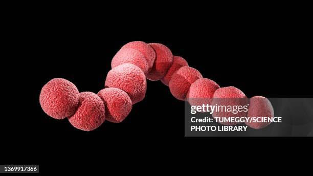 streptococcus bacteria, illustration - sore throat stock illustrations